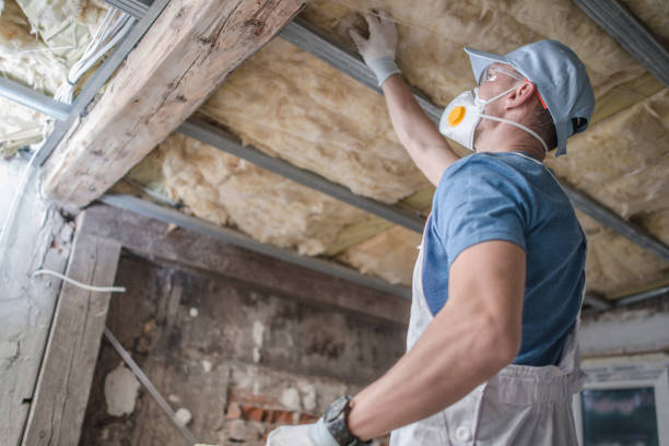 Best Spray Foam Insulation  in Ozona, TX
