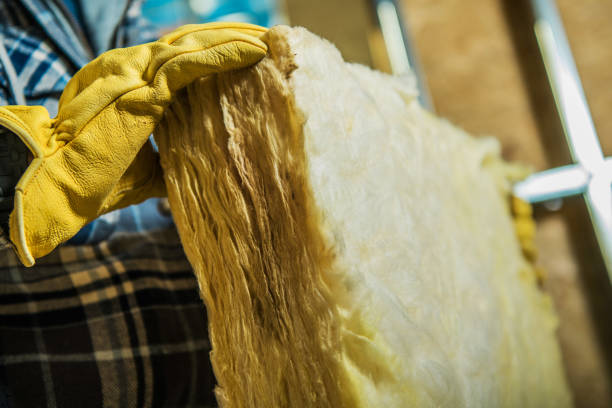 Best Insulation Inspection Services  in Ozona, TX