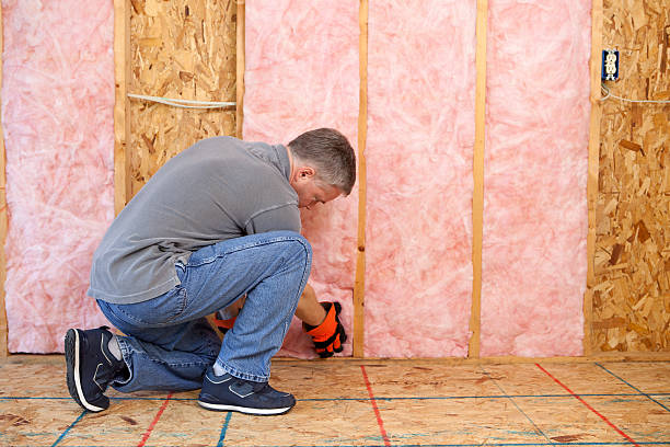 Best Soundproof Insulation Installation  in Ozona, TX