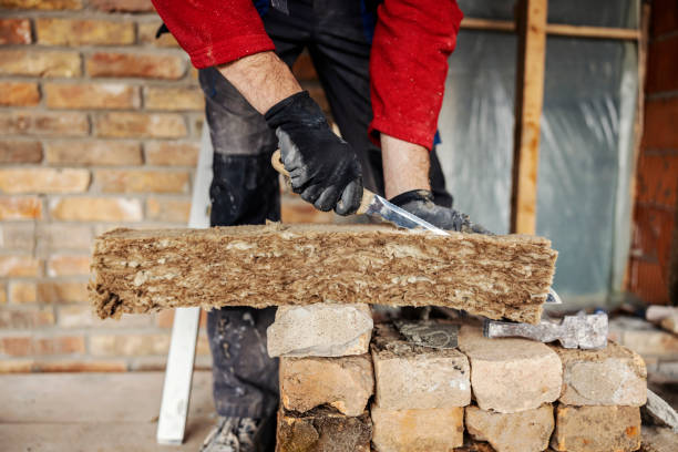 Best Insulation Contractors for Homes  in Ozona, TX