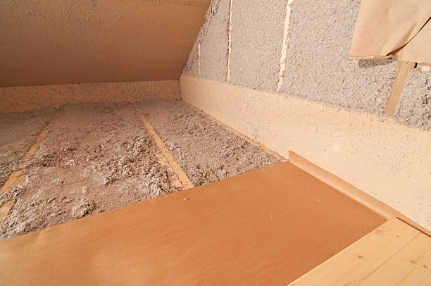 Best Local Insulation Services  in Ozona, TX